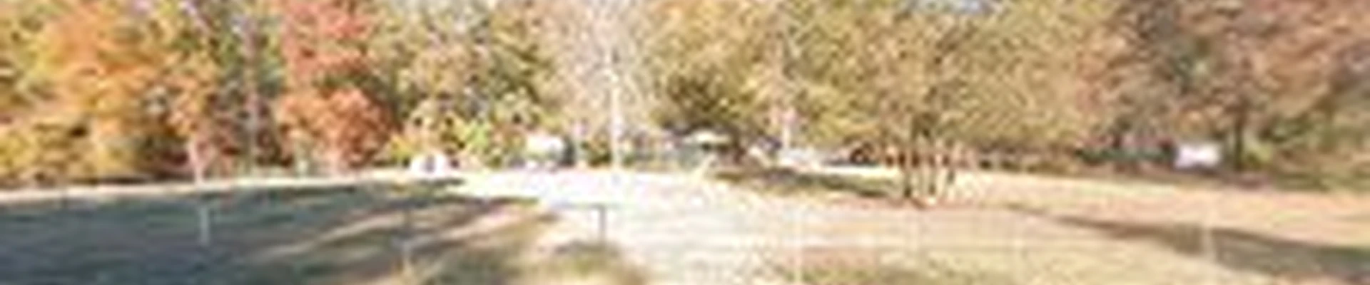 McManus Landscaping LLC