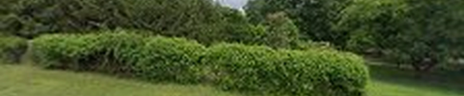 Wilson's Natural Landscaping, LLC