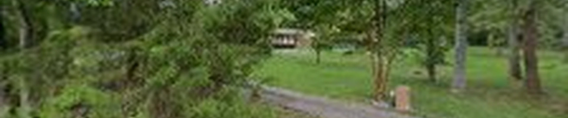 Green FX Landscaping