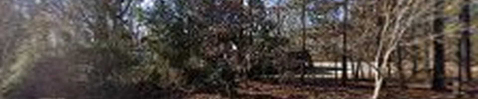Elio Lopez Landscaping LLc