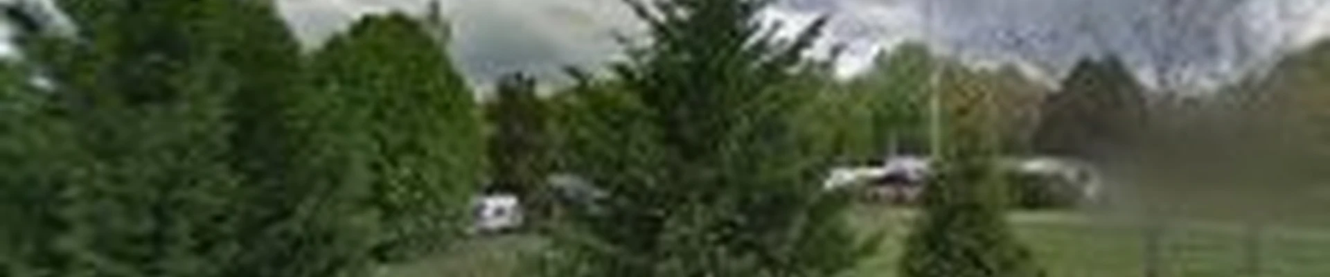 Brown's Landscaping NC