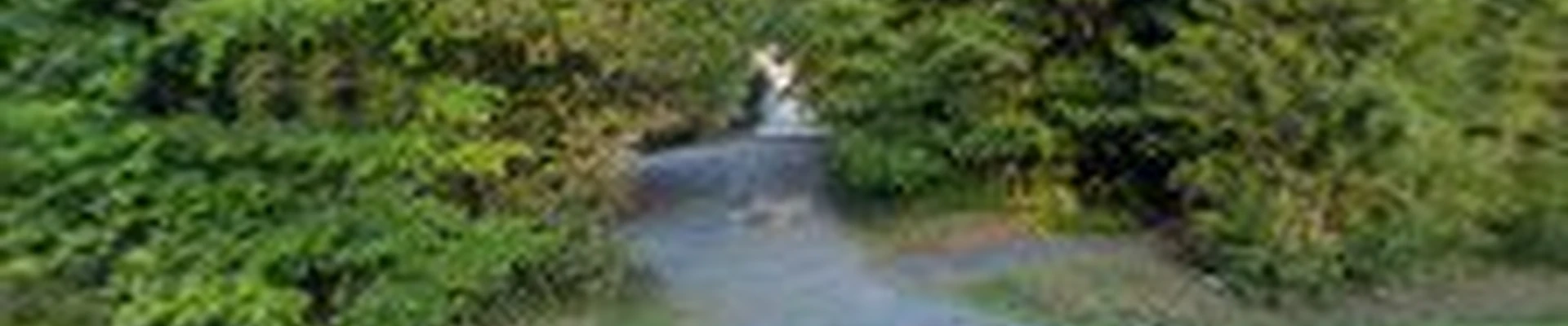 Southern Turf & Landscape INC