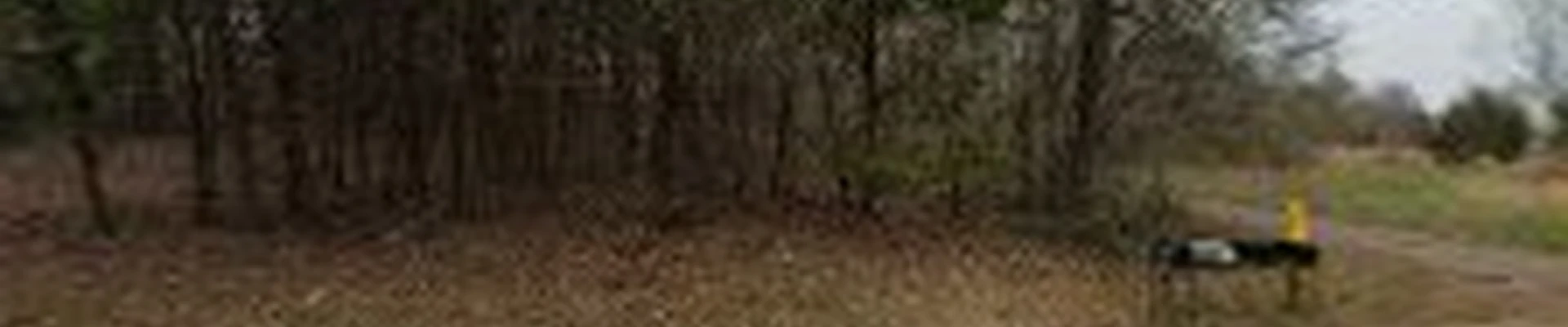Cisco Kid Landscaping Inc.