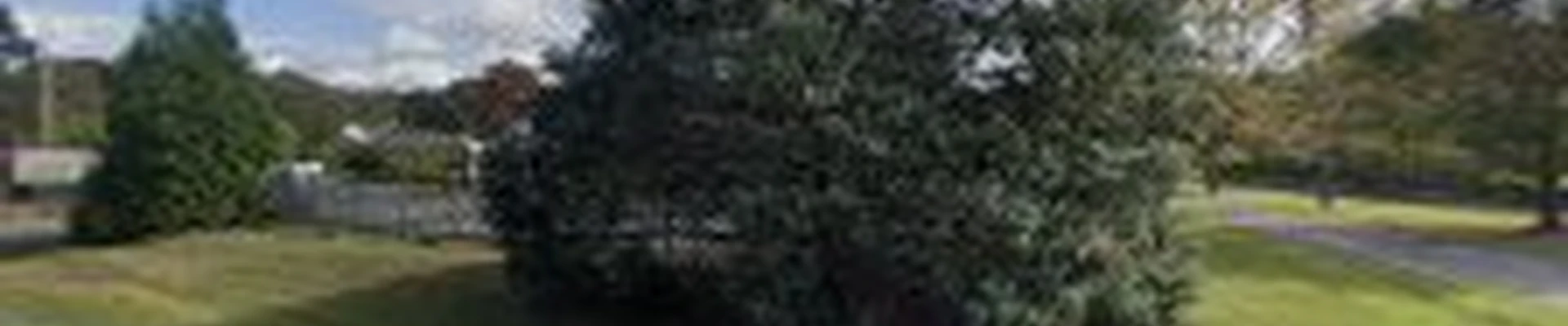 Mikes Growers Outlet