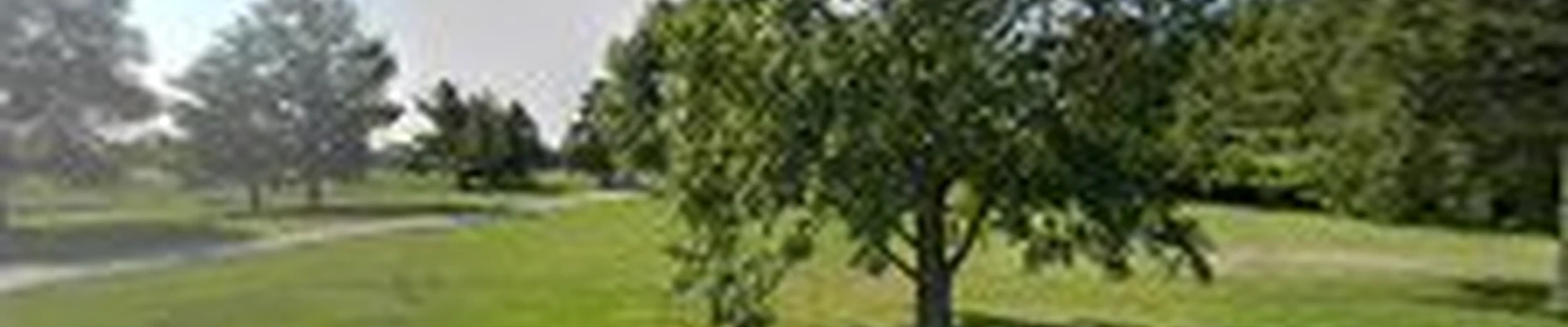 Mack Landscapes