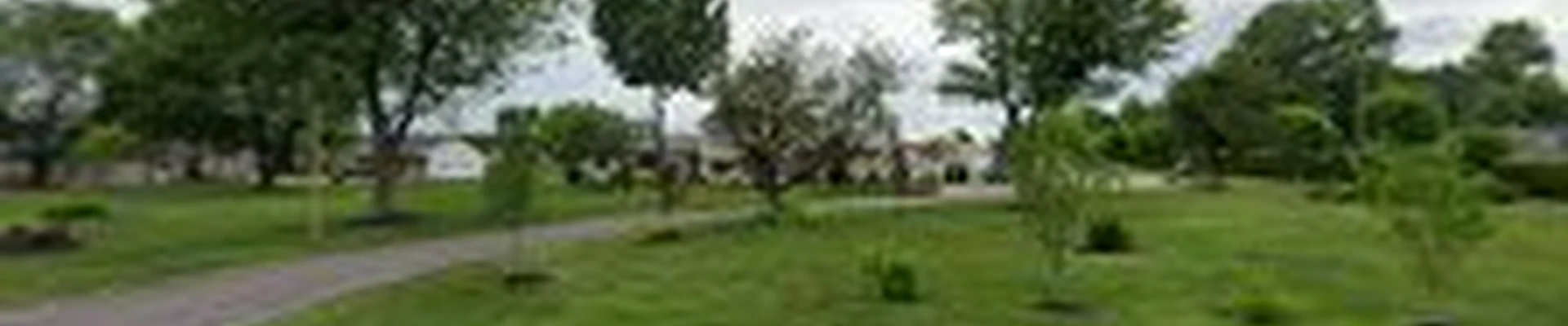 Pedraza Lawn and Landscaping llc