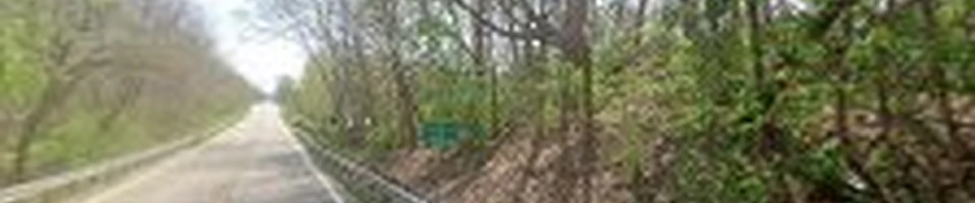 X-treme Lawn & Landscape