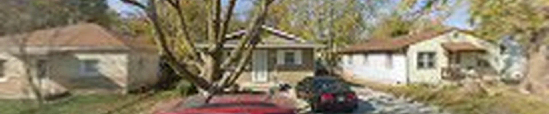 Munguia’s Tree Services & Landscaping