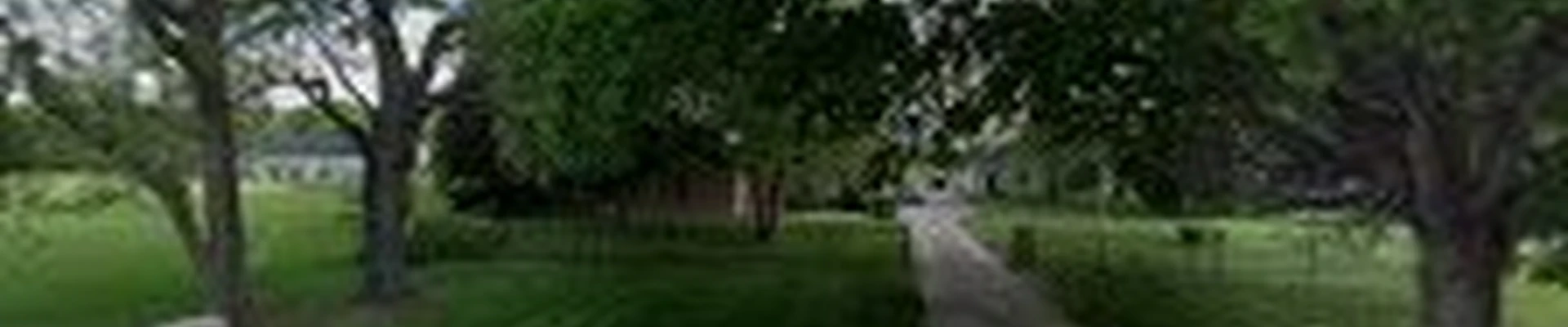 Precision Cut Lawn Service