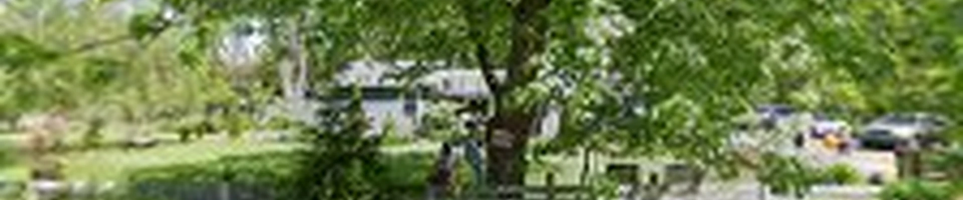 Universal Landscaping & Construction