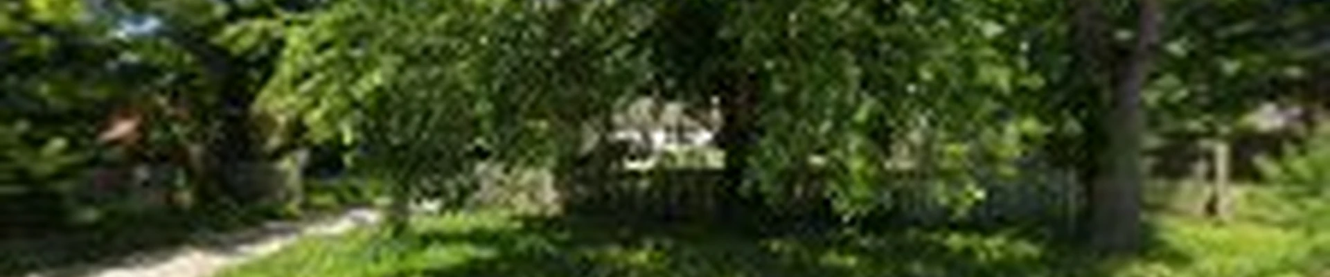 Premier Grounds Services