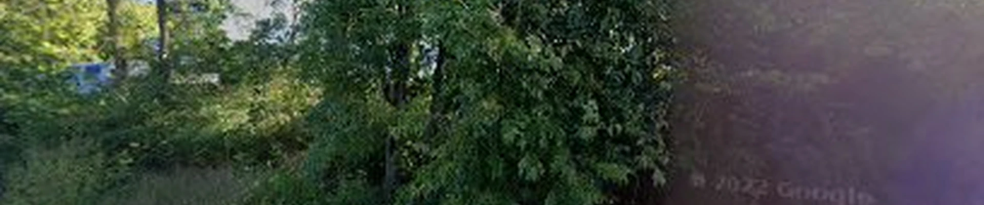 Weber Green Thumb Landscaping, LLC