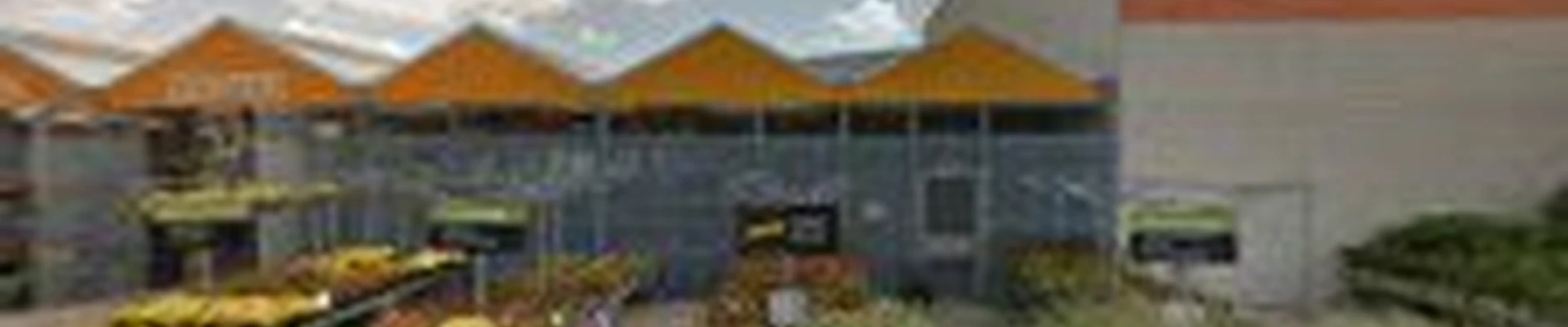 Garden Center at The Home Depot
