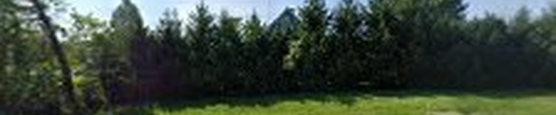 Rangel Professional Landscaping & Nursery Corp.