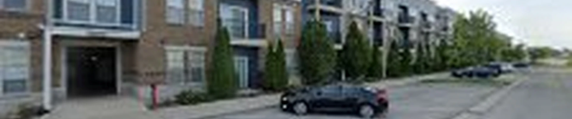 Evergreen Tree Service & Landscape