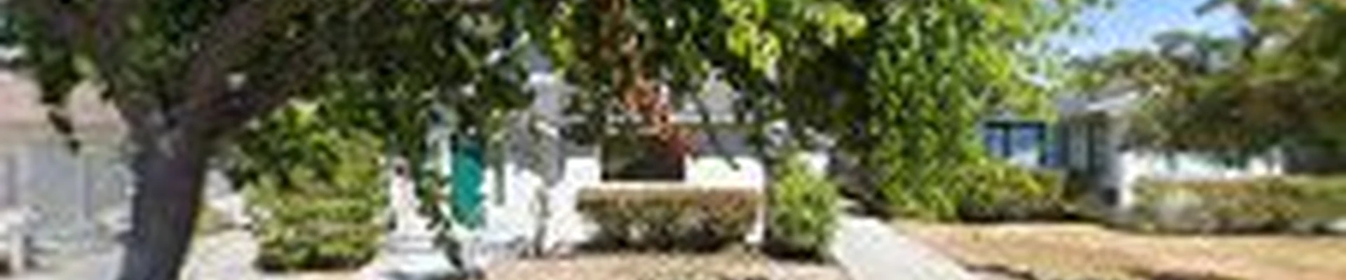 Alvarez Landscaping & Gardening
