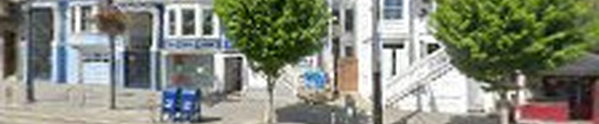 Spade Gardens & Landscaping