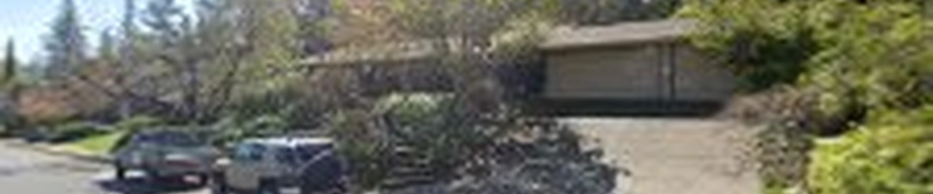 Lawrence Bennett Landscape Design and Construction