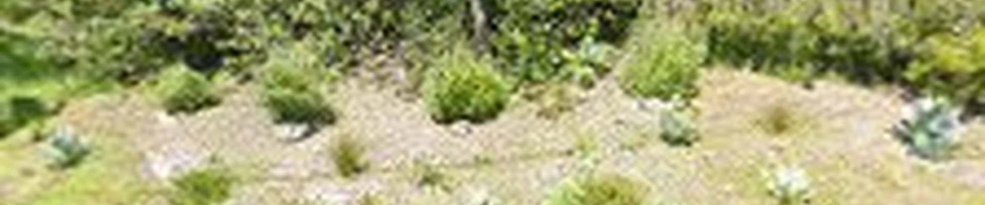 Dig Your Garden Landscape Design