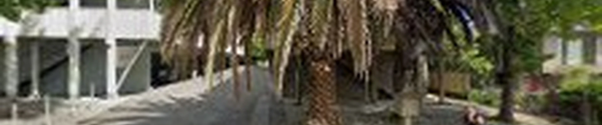 Marin Garden Maintenance