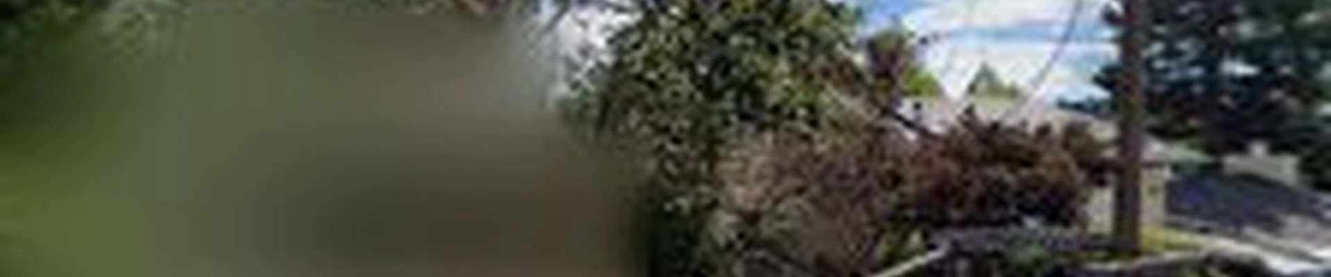 Reyes Landscape Construction