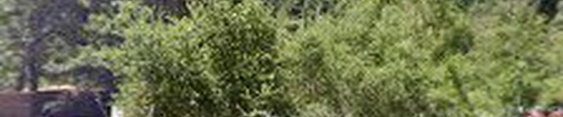 Grass Roots Landscaping