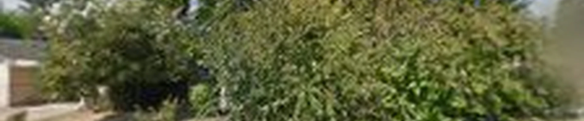 Bautista Landscaping