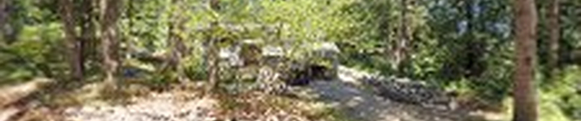 Western Landscaping & Tree Services LLC