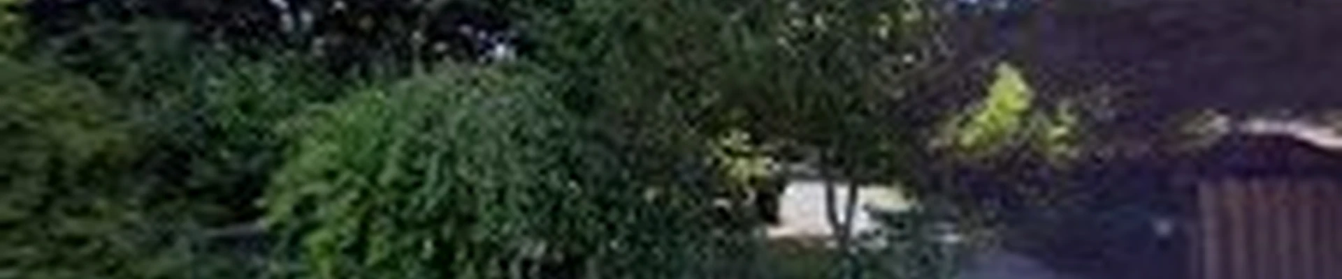 Francisco Landscaping & Construction