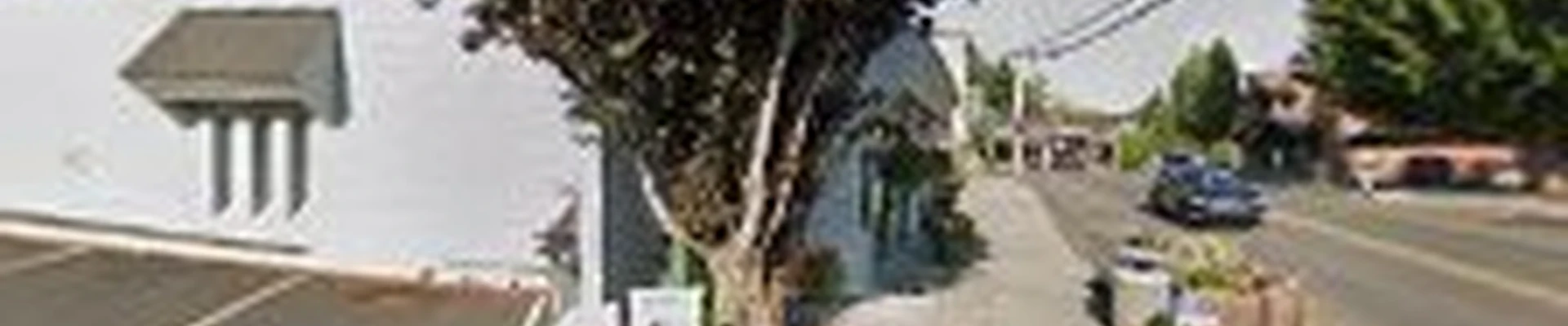 Alternative Landscape & Design LLC