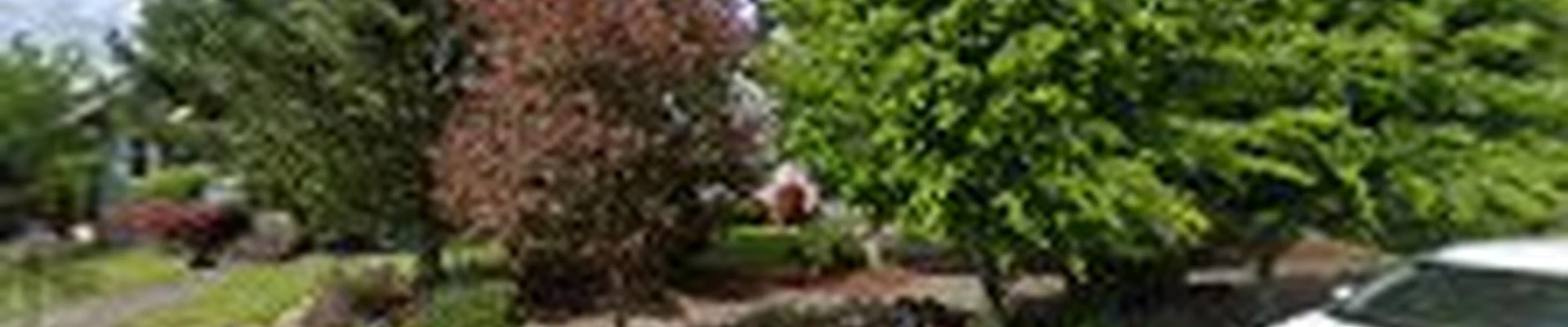 Urban Roots Landscaping Tacoma LLC