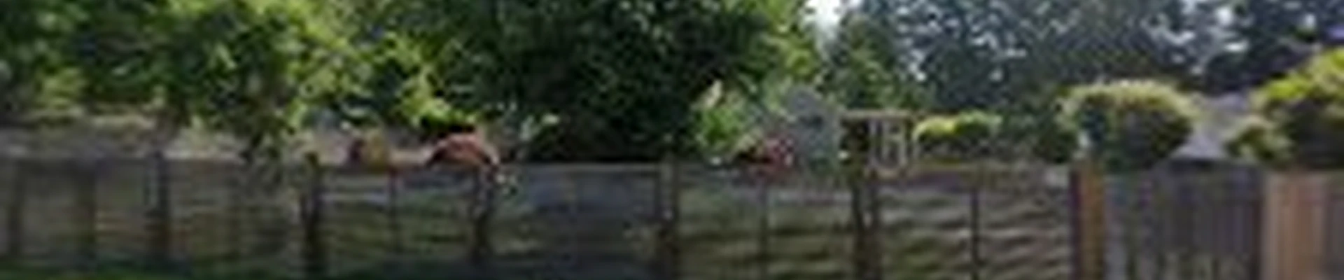 Lee's General Landscaping and Yard Clean Up