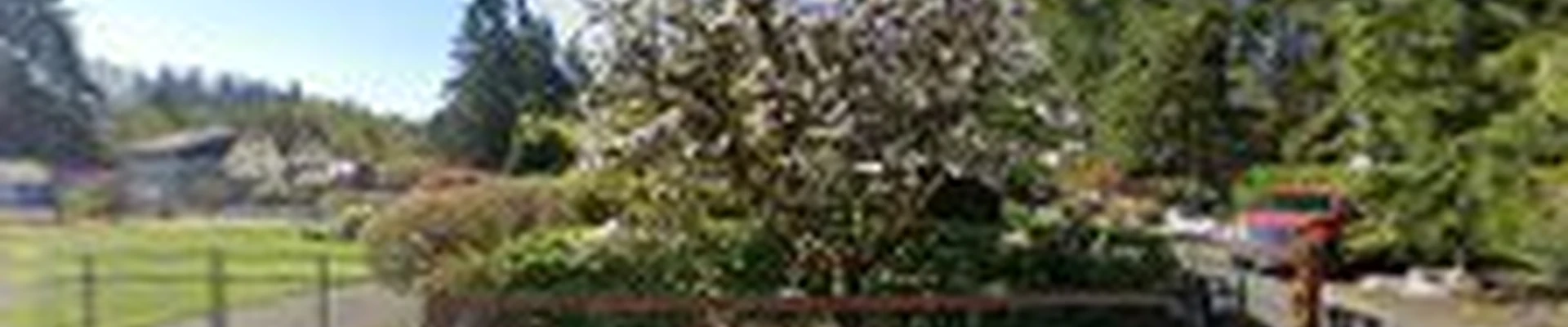 Mountain View Landscape & Design