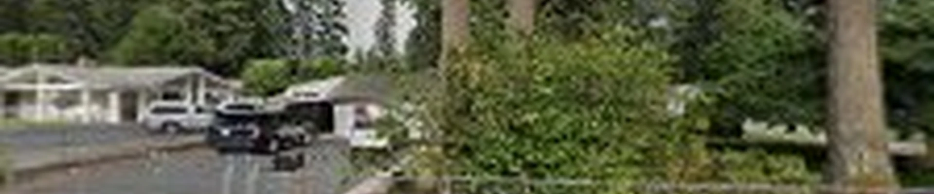 Dominguez landscaping service,LLC