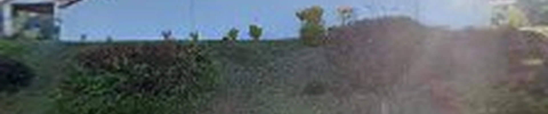 SS Landscaping Services