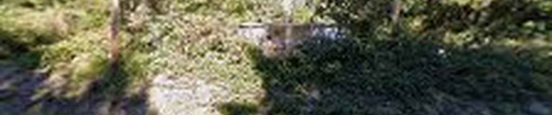 Total Landscaping LLC