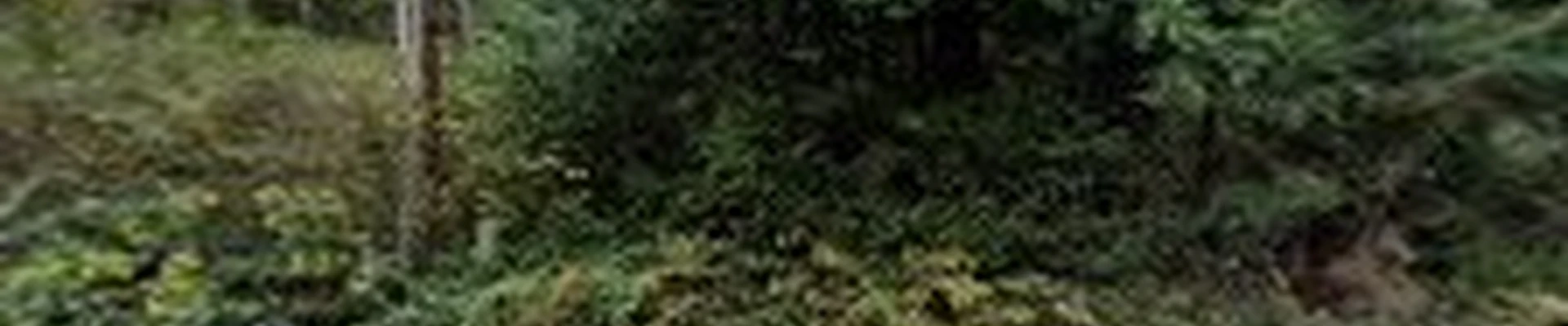 Unique Landscaping