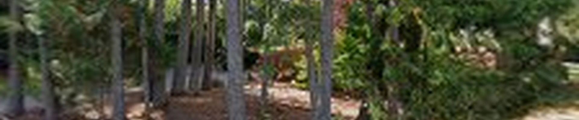 Sonny Beez Landscape & Maint