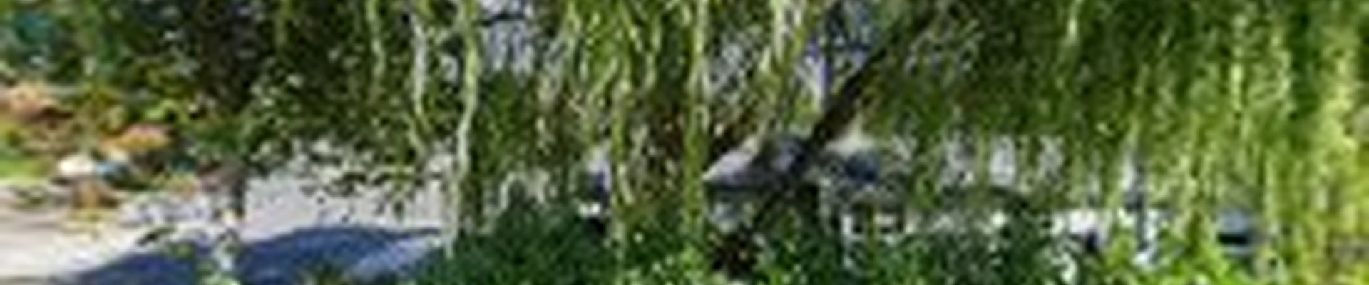 Above the Norm Landscaping