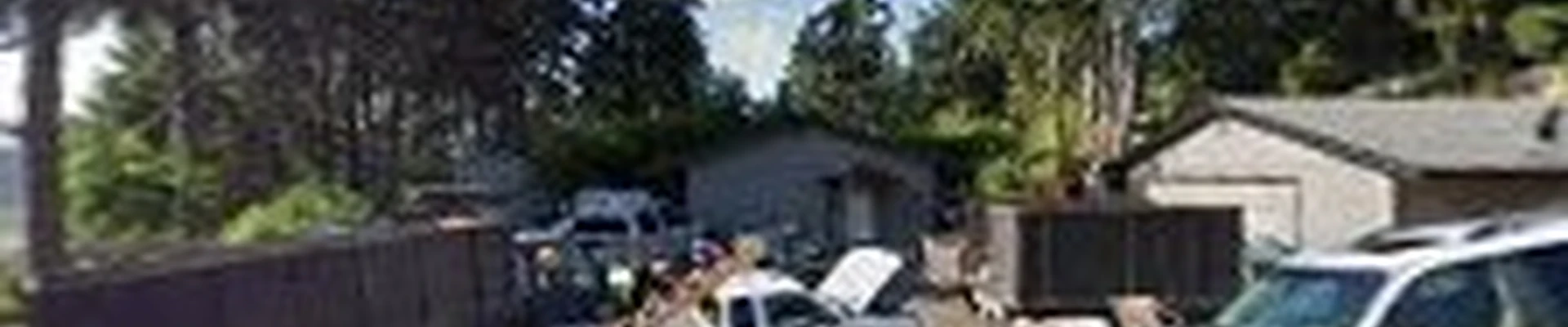 PEDRO'S LANDSCAPING AND PAINTING