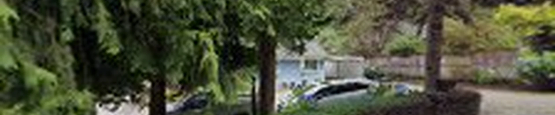 Ruiz Landscaping services LLC
