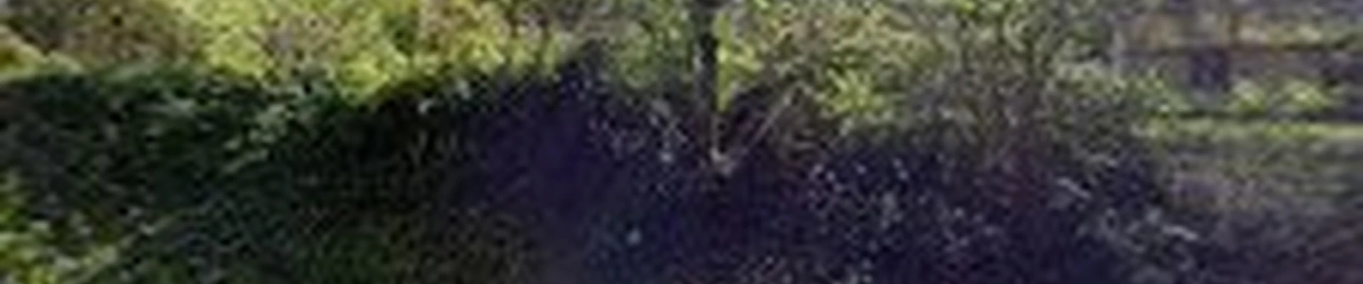 K C Landscaping