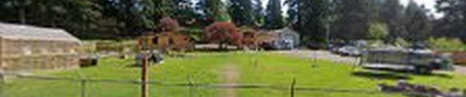 Sam's Landscaping Service LLC