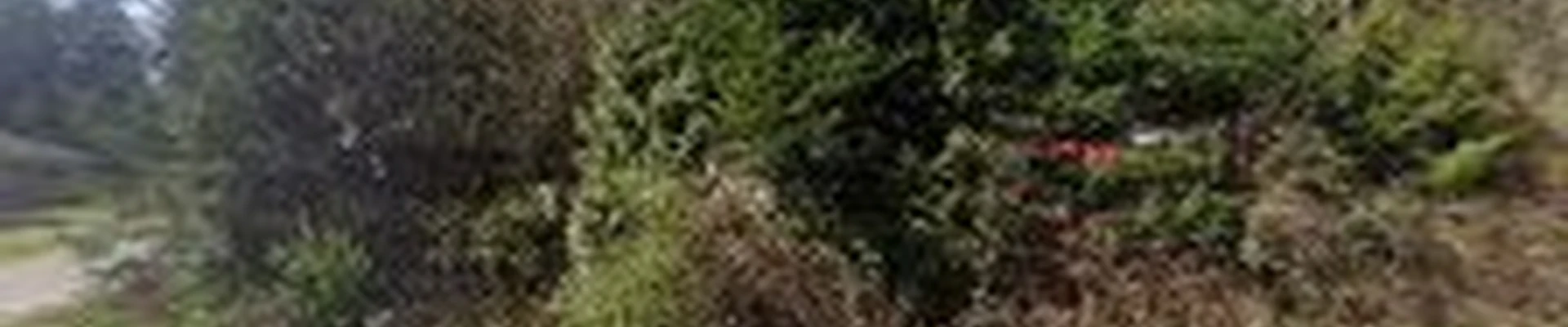 Mill Creek Landscapes