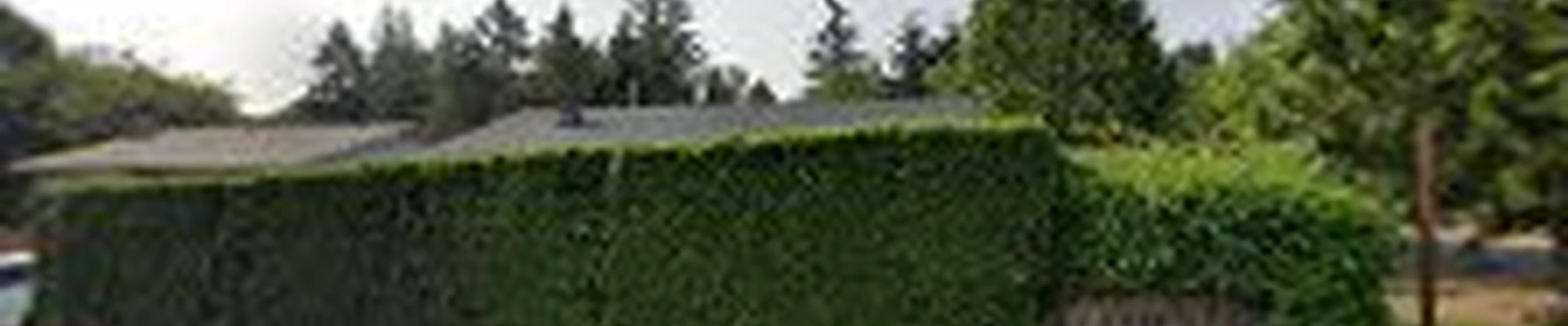 Daniel’s Landscaping & Maintenance