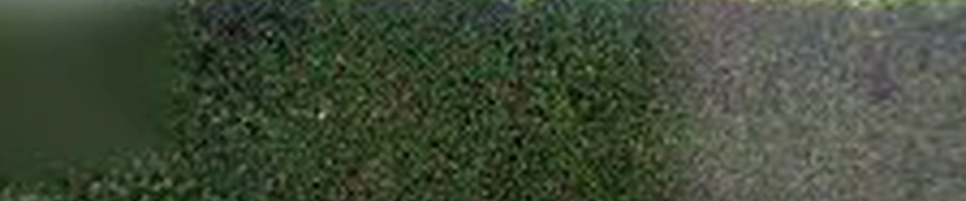 Uyeta Landscape, Design and Maintenance