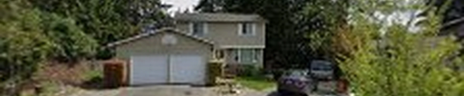 New View Tree and Landscaping