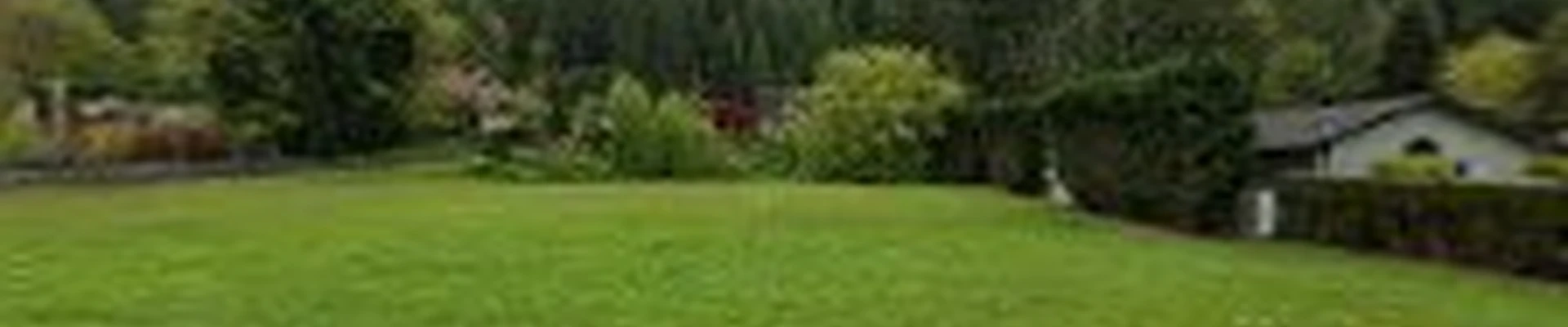 Valencia's Landscaping