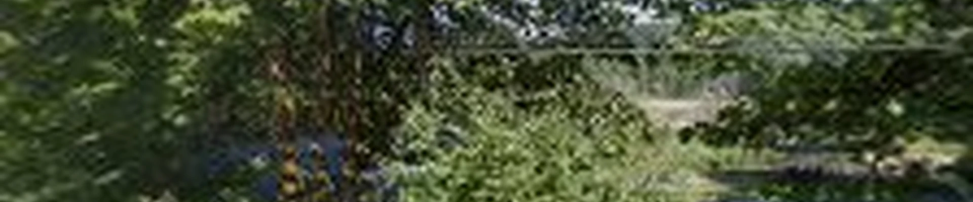 Laken Outdoor Design & Landscaping