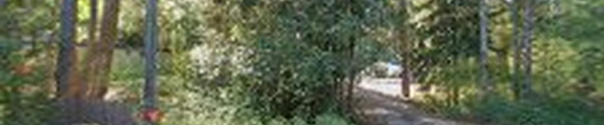 Liggins Landscaping & Maintenance LLC.